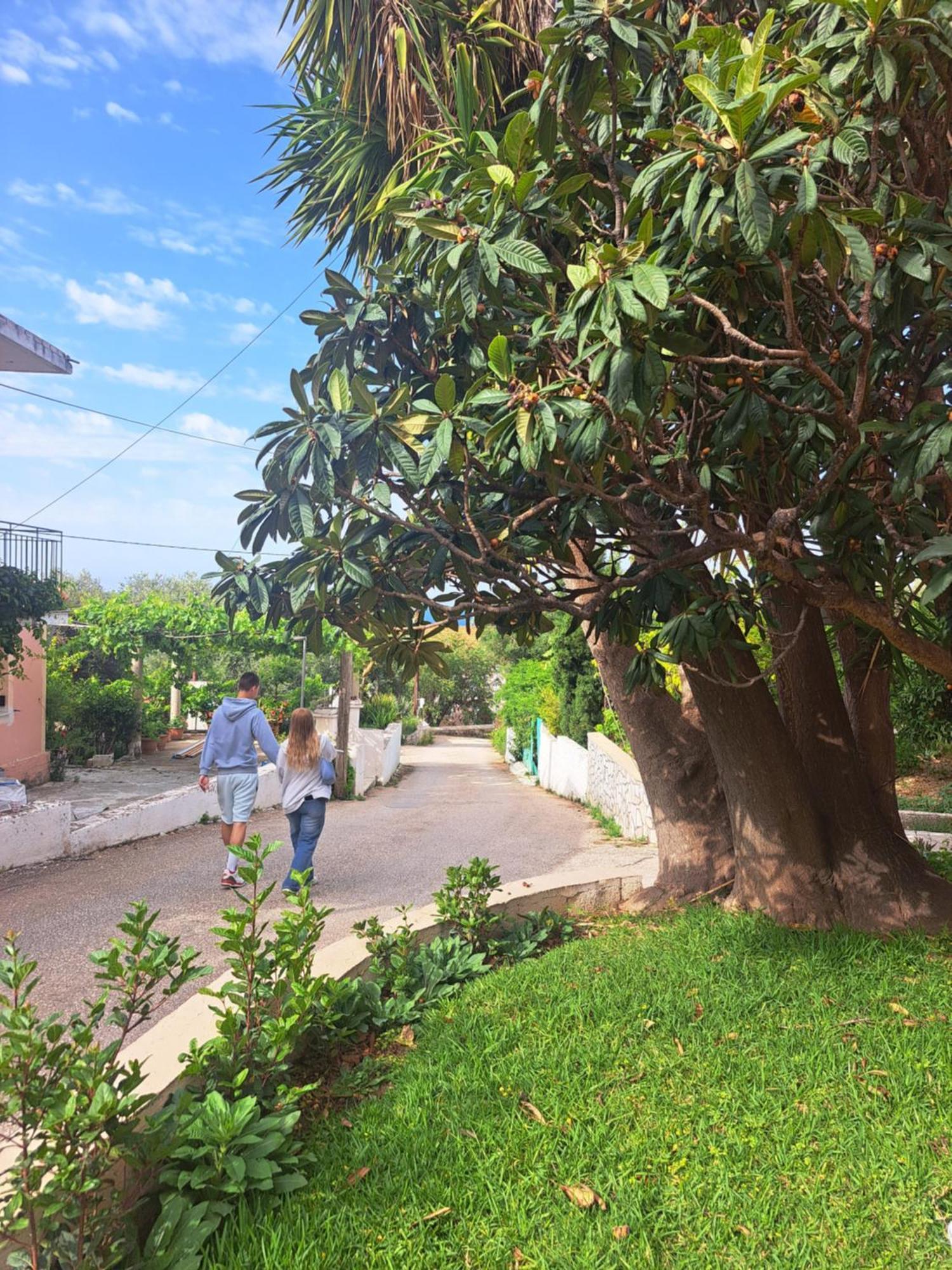 Marinos Studios At Lourdata Village Dış mekan fotoğraf