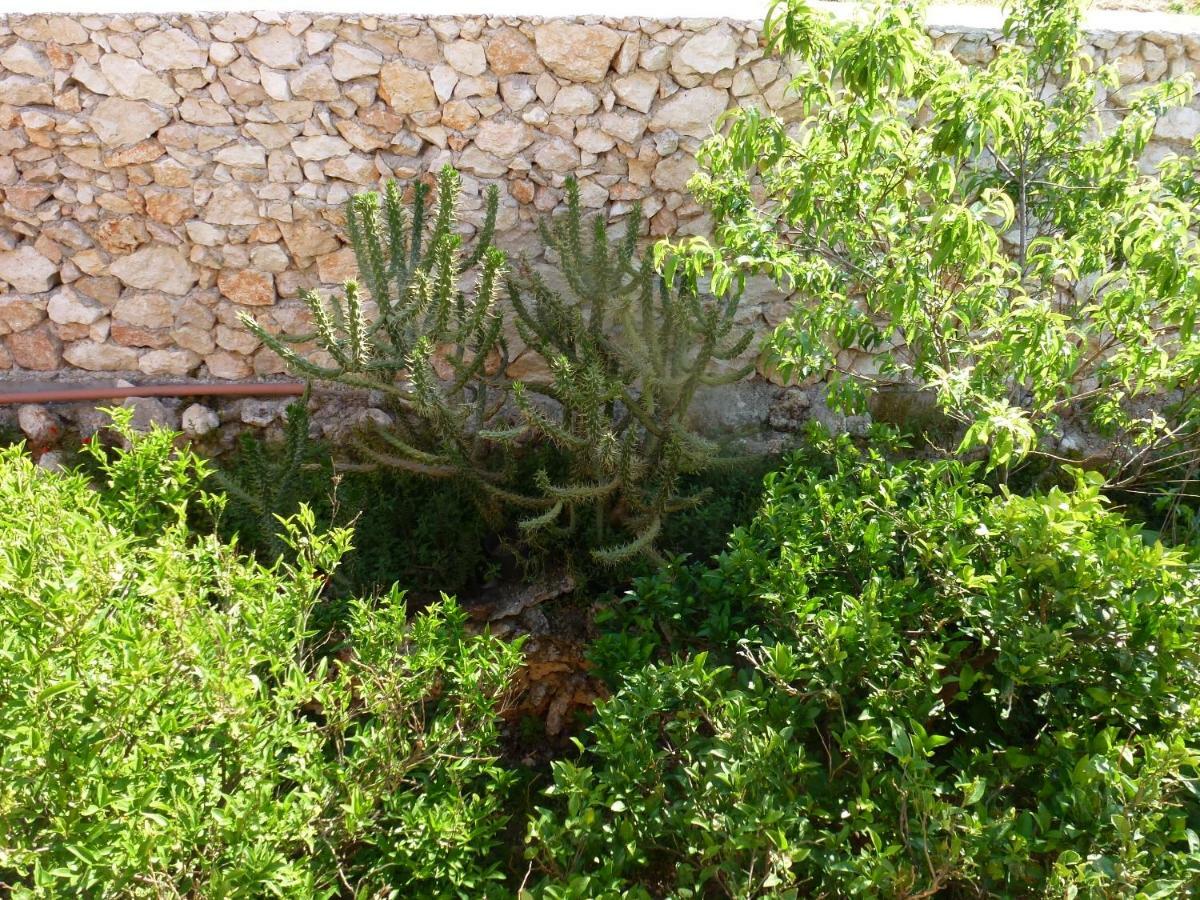 Marinos Studios At Lourdata Village Dış mekan fotoğraf