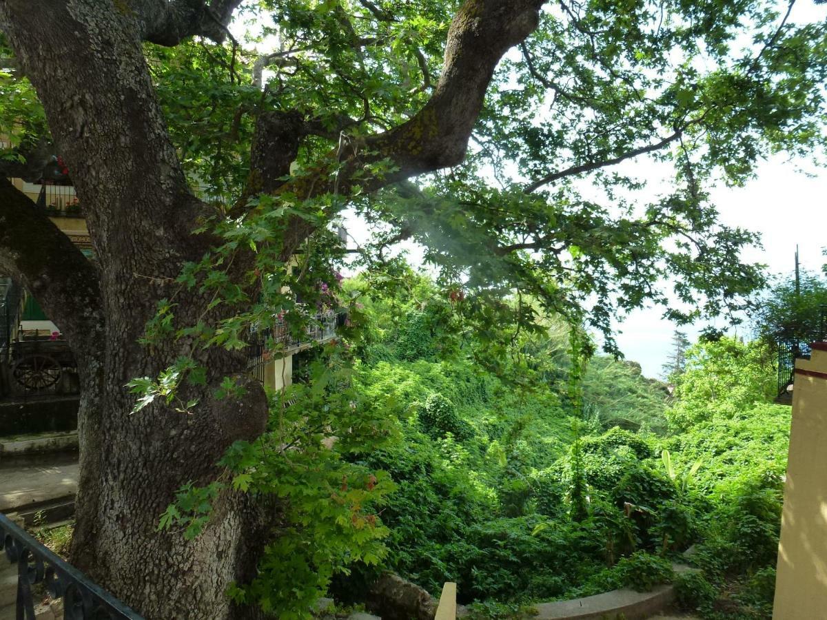 Marinos Studios At Lourdata Village Dış mekan fotoğraf
